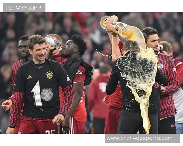 德国足球甲级联赛的魅力与挑战：球队竞争与球迷热情的完美结合